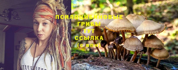 первитин Магас
