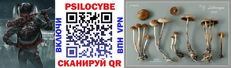 Псилоцибиновые грибы мухоморы  хочу   Тихорецк 