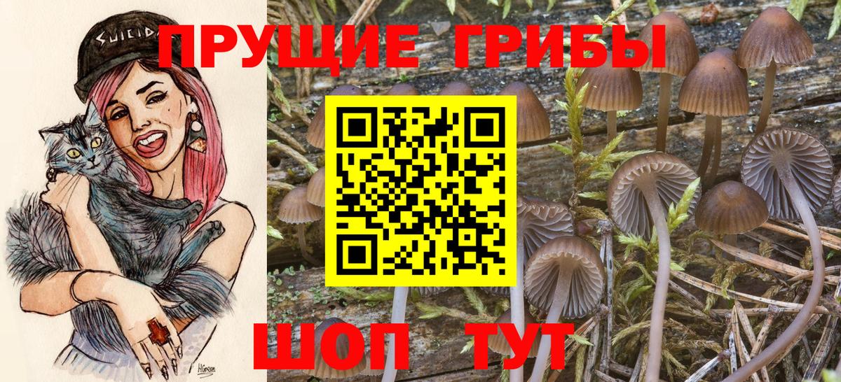 Псилоцибиновые грибы Magic Shrooms Тихорецк