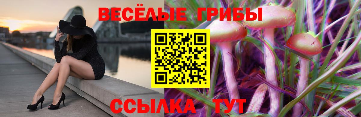 Гашиш  Кокаин  Бошки Шишки  Тихорецк  Альфа ПВП СОЛЬ кристаллы  Мефедрон кристаллы  Вход с VPN  КОКАИН  МЕТ 